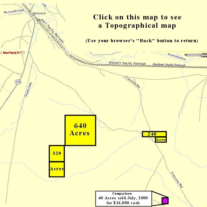 CVdetail.jpg (63341 bytes)