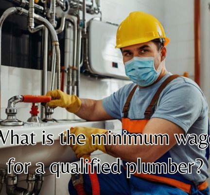 a plumber earning a minimum wage
