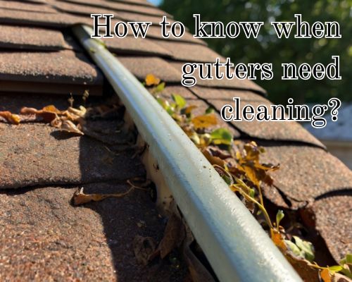 Clogged gutter with muddy debris.