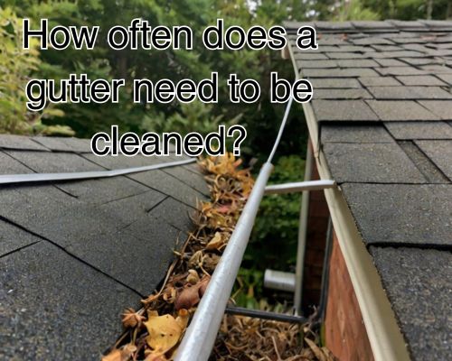 Roof edge with messy, blocked gutter.